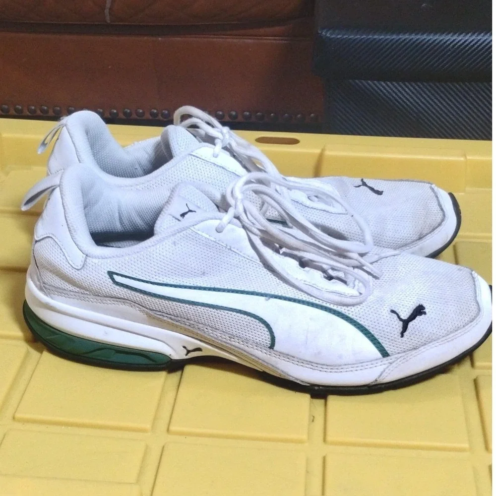 Puma brand model